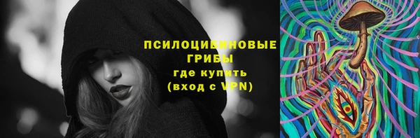 тгк Карпинск