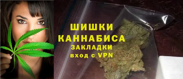 гидропоника Каменка