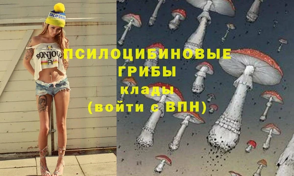 меф Каменногорск