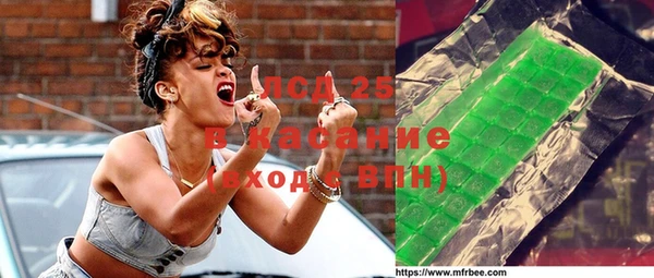 гидропоника Каменка