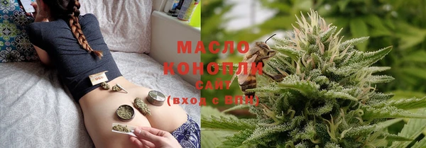 гидропоника Каменка
