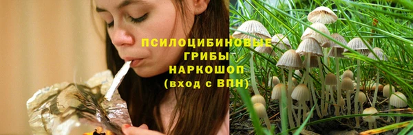 тгк Карпинск