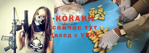 гидропоника Каменка