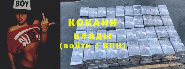 гидропоника Каменка